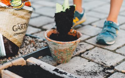 Tips voor veranderen van je tuin